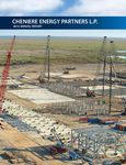 2012 Annual Report