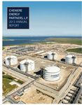 2013 Annual Report